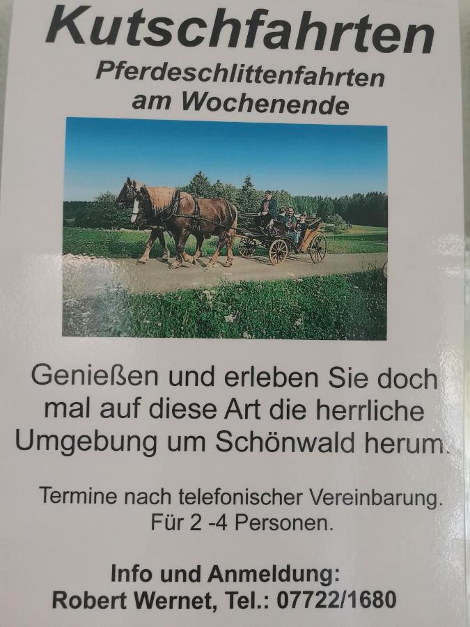 Ferienwohnung Schoene Wohnung 2D-Gebaeude Mit Mini-Garten Schönwalde Dış mekan fotoğraf
